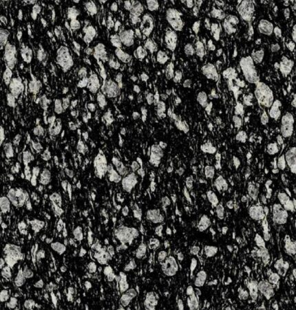 Coral Black Granite