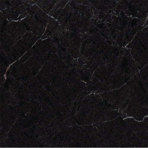 Shampane Grey